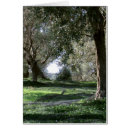 Search for olive tree cards Mediterranean