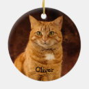 Search for orange cat ornaments Pet
