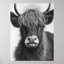 Search for black and white cow posters Farm