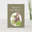 Search for bunny cards Husband