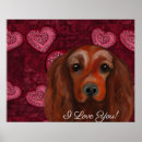 Search for irish setter posters Mahogany red chestnut dog