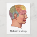 Search for brain vertical postcards Skull