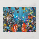 Recherche de aquarium cartes postales Tropical