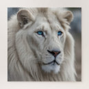 Search for lion puzzles Cat