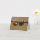 Search for balancing photography Cute