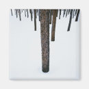 Search for tree trunks magnets Outdoors