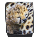 Search for wildcats bags Cheetah