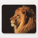 Search for african lion mousepads Big cats