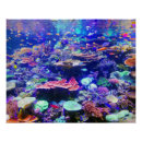 Search for aquarium fish posters Tropical