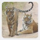Search for royal tiger stickers Sawaimadhopur