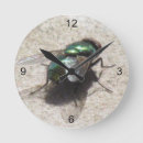 Search for time flies clocks Bugs