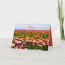 Search for funny easter cards Tulips