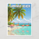 Search for flamingo beach postcards Travel