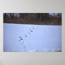 Search for tracking posters Winter