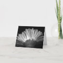 Recherche de gerbera vœux cartes Noir et blanc