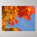 Recherche de arbre sans feuilles art De feuilles d'automne