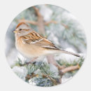 Search for backyard bird stickers Danita delimont