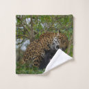 Search for onca Big cat