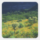 Recherche de colline verte autocollants Jaune