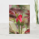 Search for rose bud cards Flowers