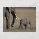 Search for african nations postcards Kenya