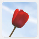 Search for red sky stickers Flower