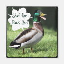 Search for rude magnets Humour