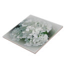 Search for white hydrangeas tiles Garden