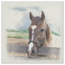 Search for pony fabric Equine