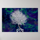 Search for cosmic tree posters Galaxy