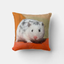 Search for hamster pillows Animal