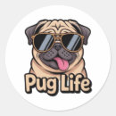 Search for cute funny pugs stickers Mom