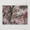 Search for osaka postcards Nature