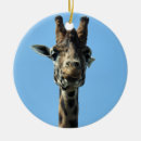 Search for giraffe ornaments Animals