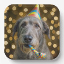 Search for dog paper plates Birthday