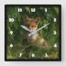Recherche de vert forêt horloges Faune