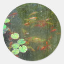 Search for pond fish stickers Ponds