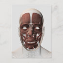 Recherche de anatomie de bouche posters Tête et épaules