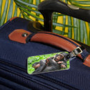 Search for chimpanzees accessories Young animal