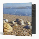 Search for sea shell binders Coast