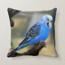 Search for budgie pillows Animal