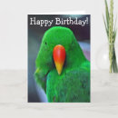 Search for parrot birthday cards Bird