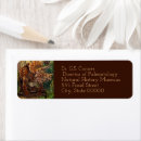 Recherche de préhistoire cartes invitations Préhistorique