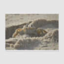 Search for coastal decoupage paper Sand