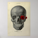 Search for skull head posters Illustration