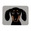 Search for cute magnets Dog