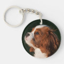 Search for spaniel puppy keychains Cute