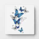 Recherche de papillons plaques Bleu