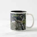 Search for monastery mugs Architecture