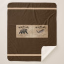 Recherche de kodiak Ours kodiak